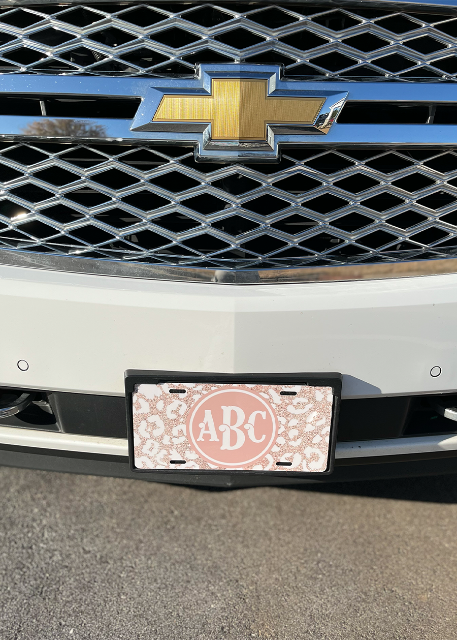 Style H License Plate