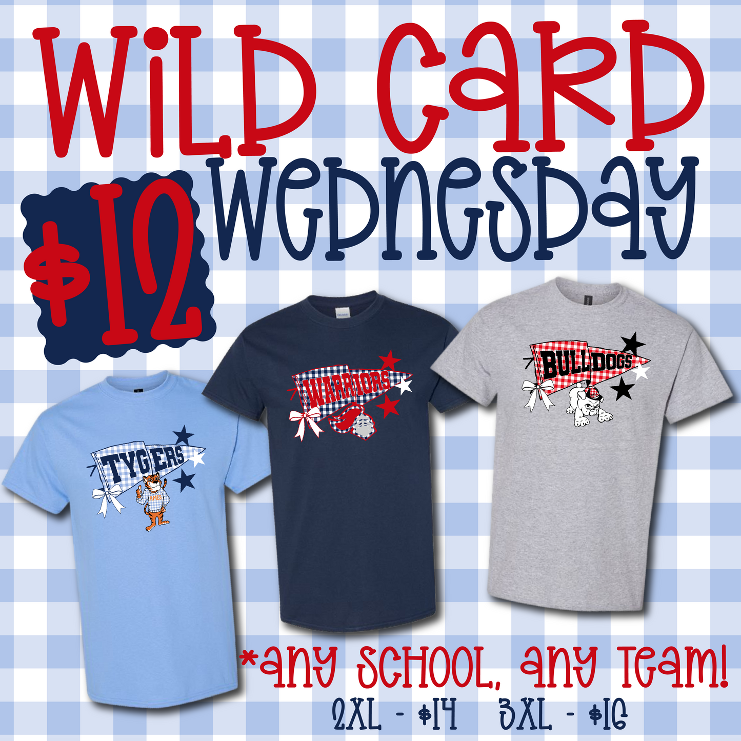ADULT GINGHAM PENNANT Graphic Tee