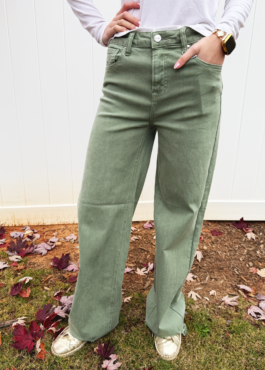 Brianna High Rise Frayed Jean