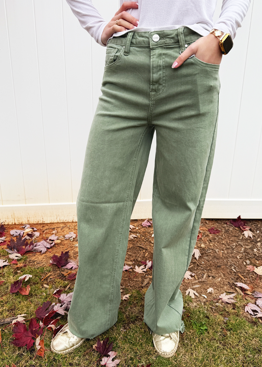 Brianna High Rise Frayed Jean