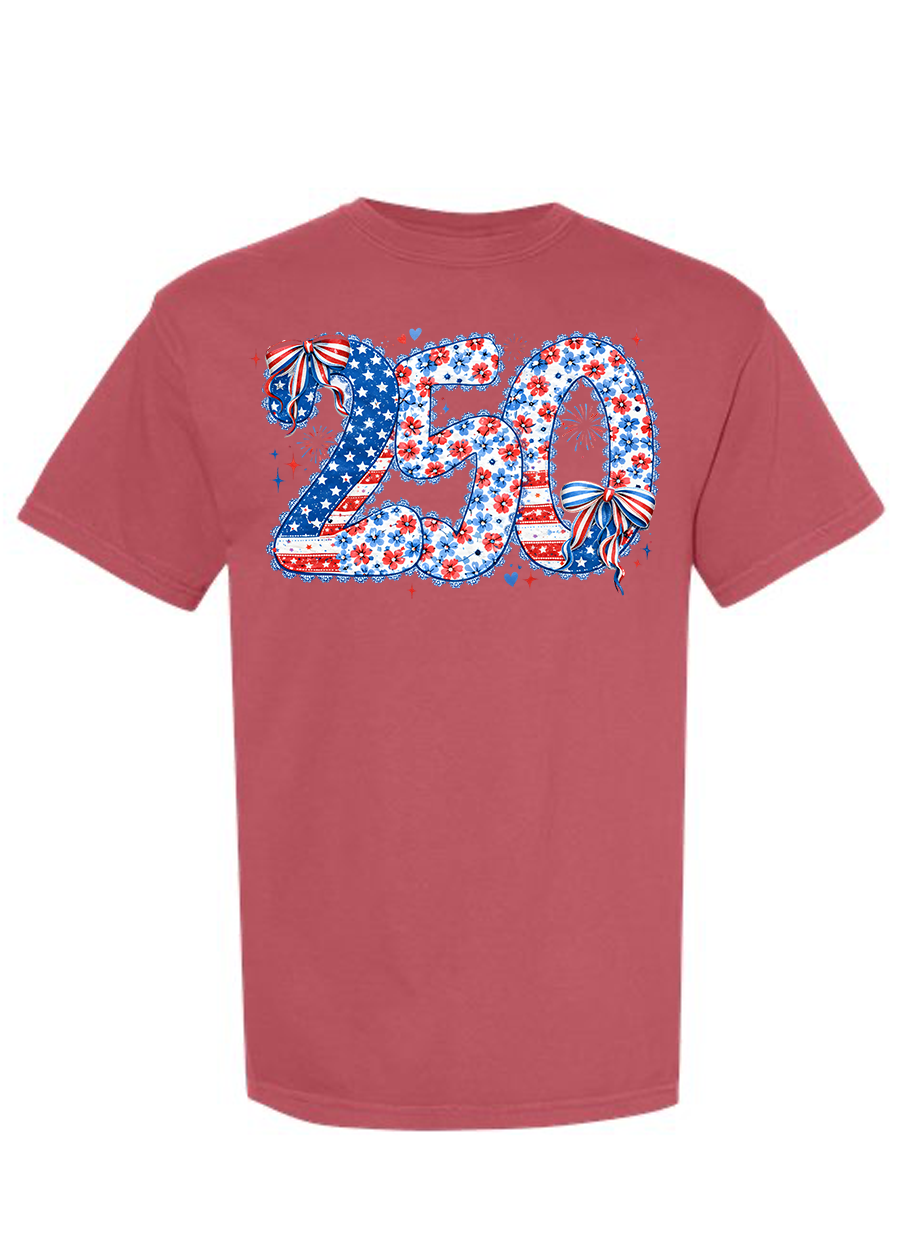 Lace Trimmed 250 COMFORT COLORS Tee