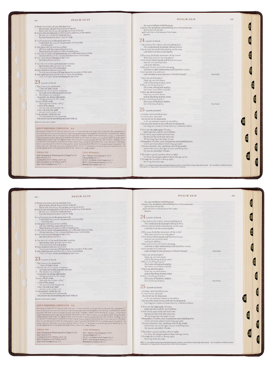 Espresso Brown Faux Leather Spiritual Growth Bible