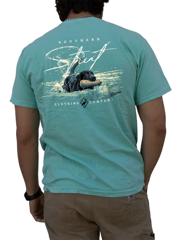 Load image into Gallery viewer, Chalky Mint w/ Lab Splash T-Shirt
