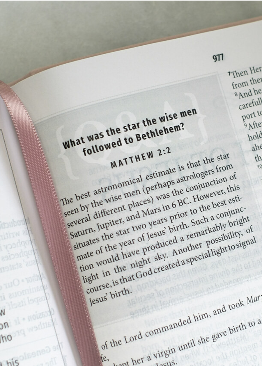 Light for Life NASB Study Bible (Blush Bouquet)