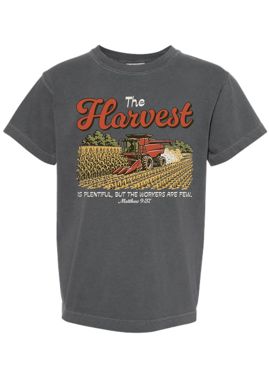 ADULT Matthew 9:37 Comfort Colors Tee
