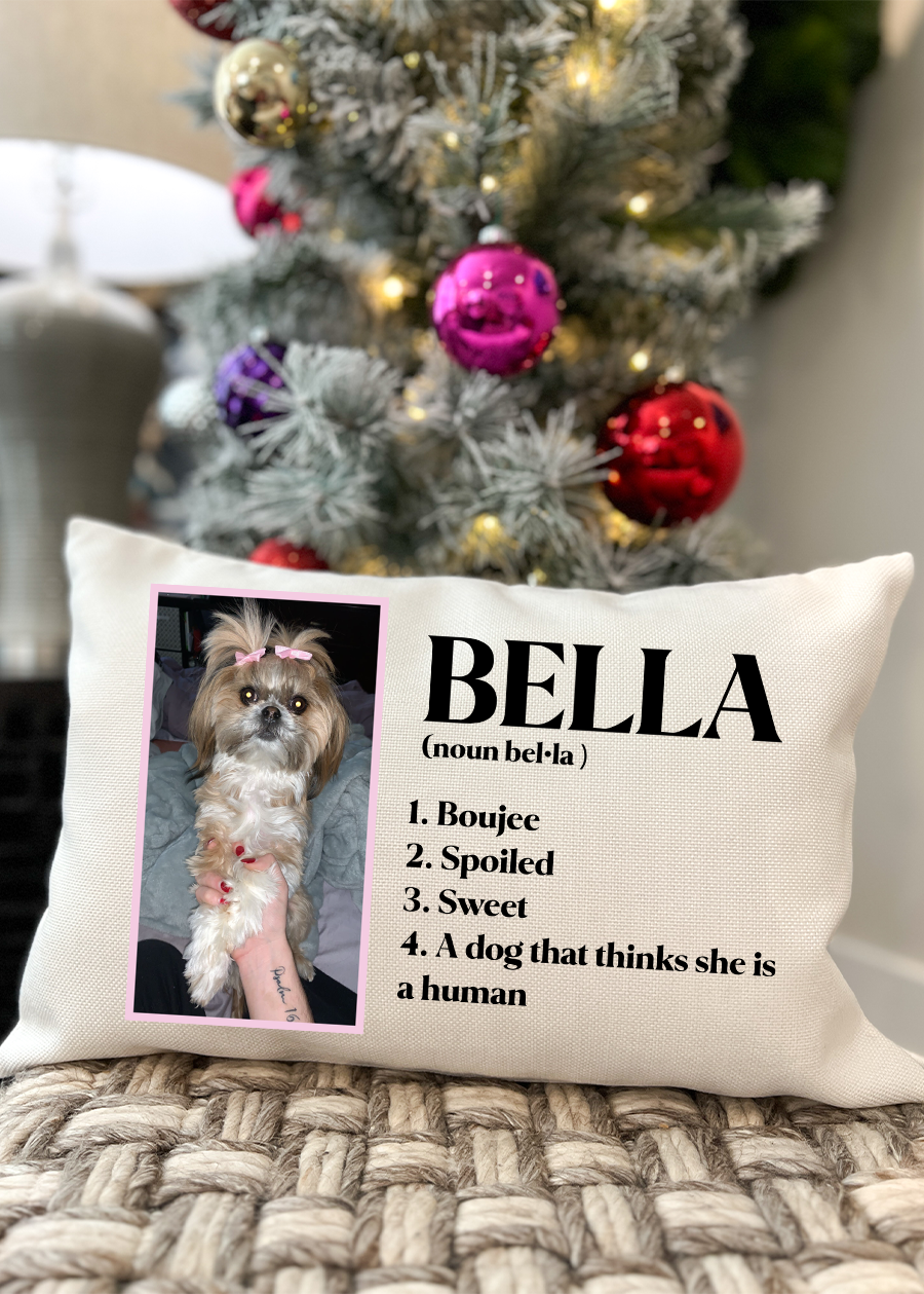 Pet Definition Pillow