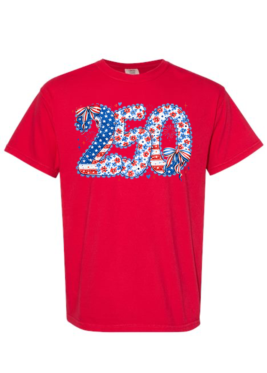 Lace Trimmed 250 COMFORT COLORS Tee