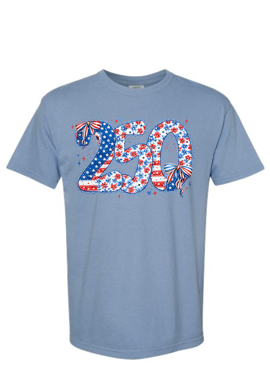 Lace Trimmed 250 COMFORT COLORS Tee