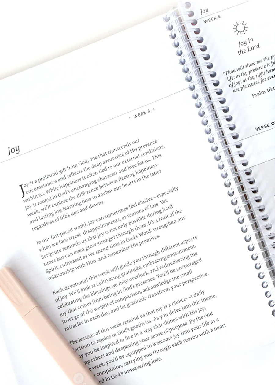 Anchored In His Word: A 90 Day Devotional
