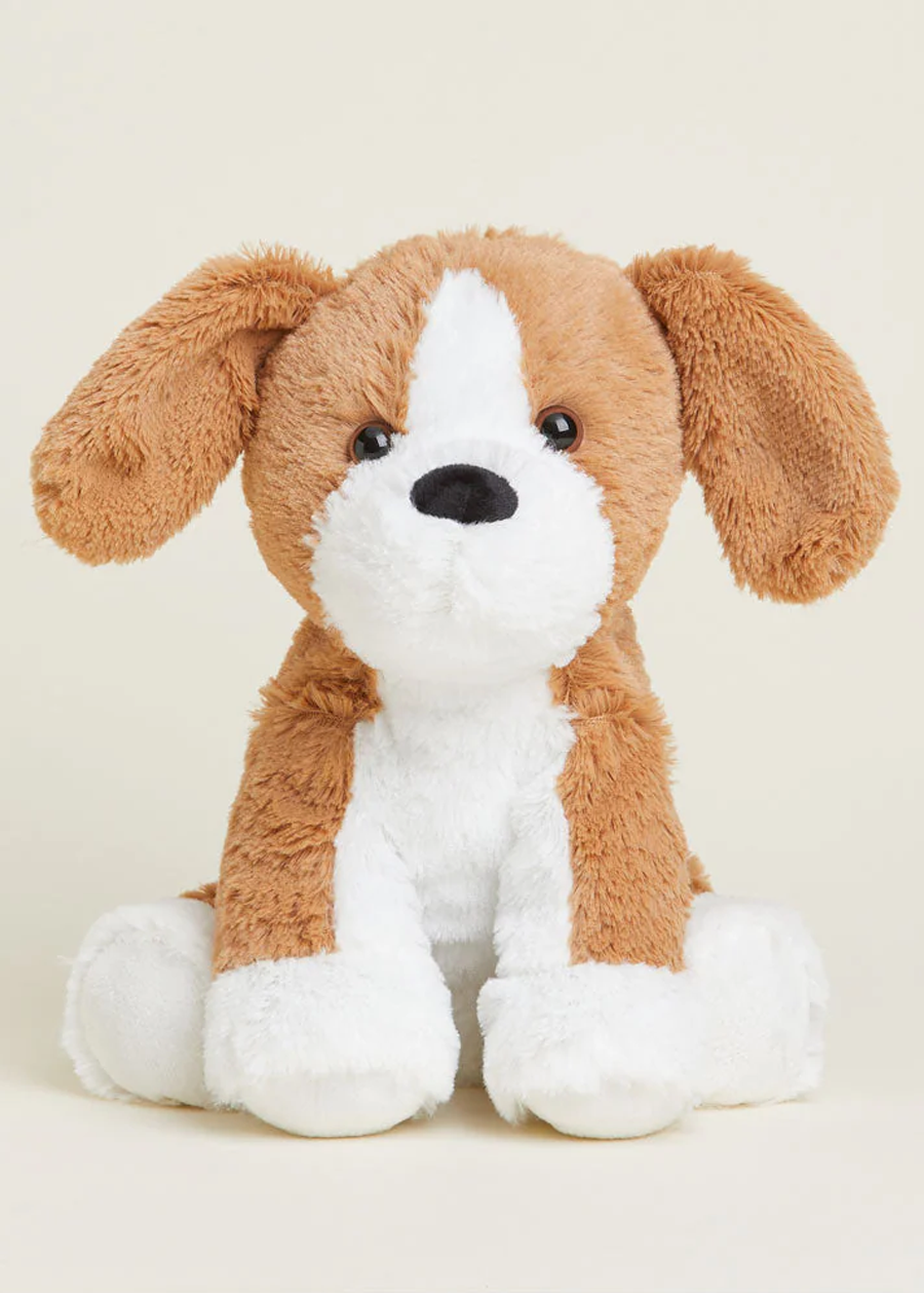 Beagle Warmies