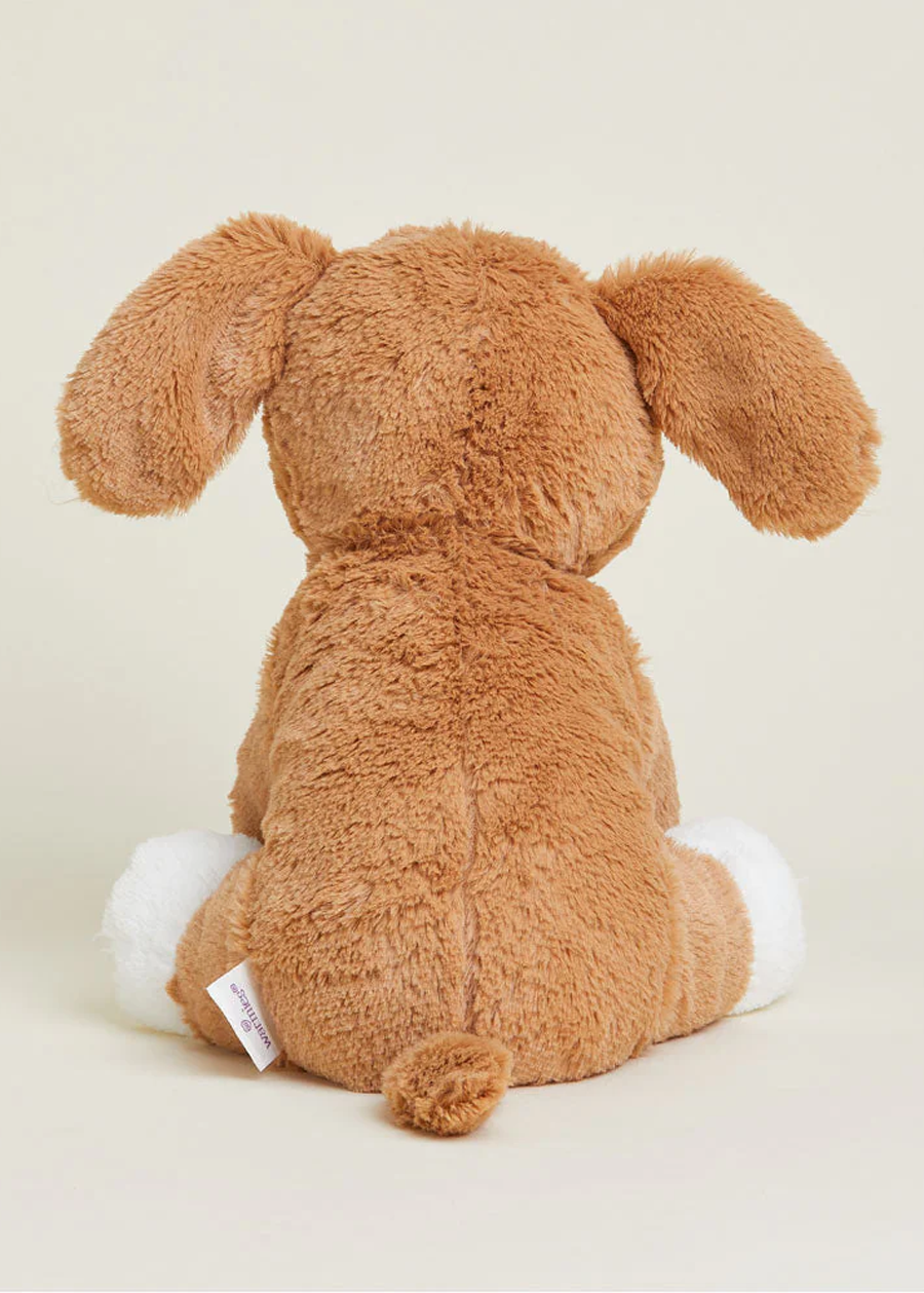 Beagle Warmies