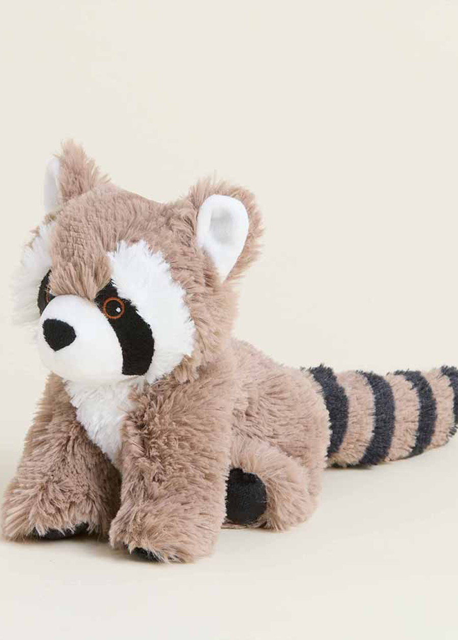 Racoon Warmies Junior