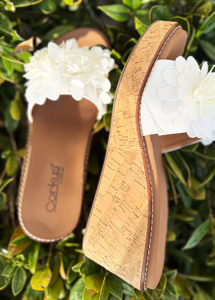 Corky Wildflower-White