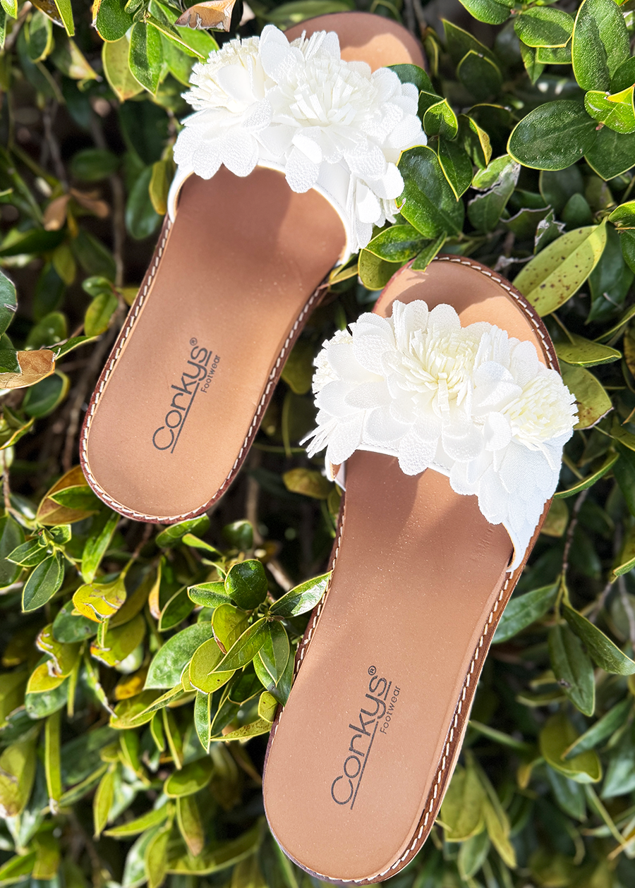 Corky Wildflower-White