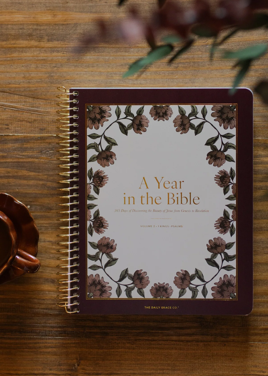 DG A Year in the Bible | Volume 2