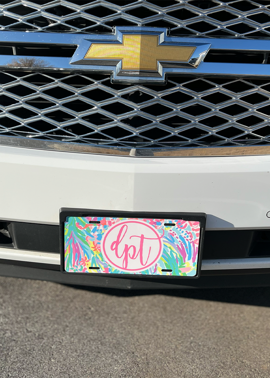 Style B License Plate