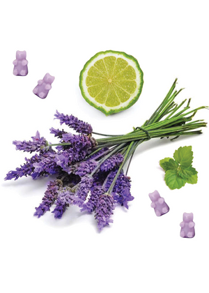 
            
                Load image into Gallery viewer, Calming Lavender Wax Melts
            
        